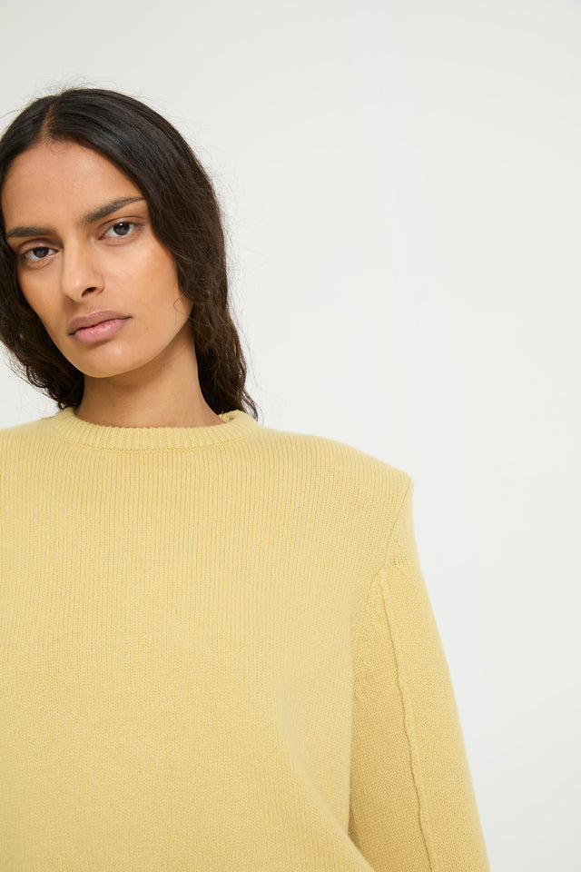 PULL AGRUME